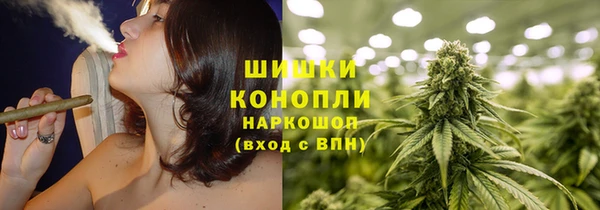 прущие грибы Арсеньев