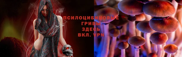 прущие грибы Арсеньев