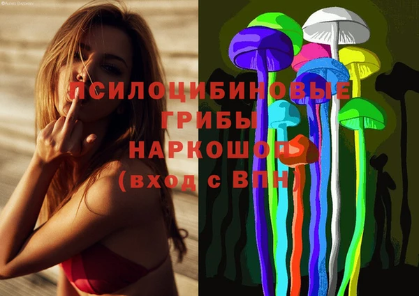 прущие грибы Арсеньев