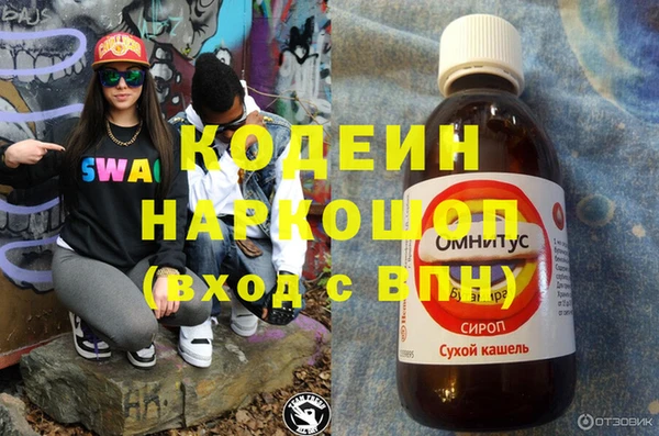 крисы Новозыбков