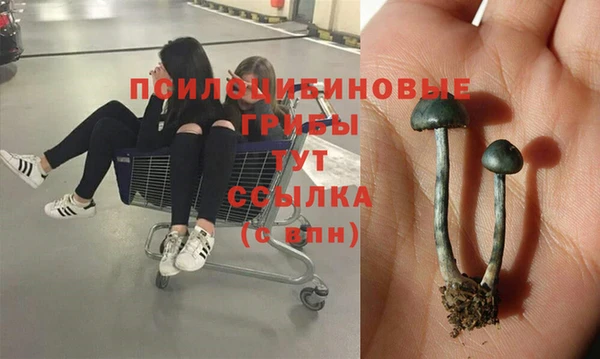 молекула духа Армянск