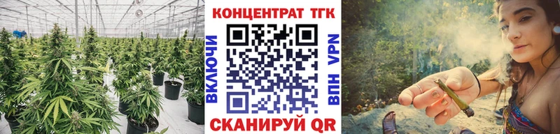 Дистиллят ТГК THC oil  Асино 